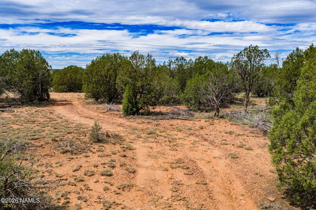 Picture 17