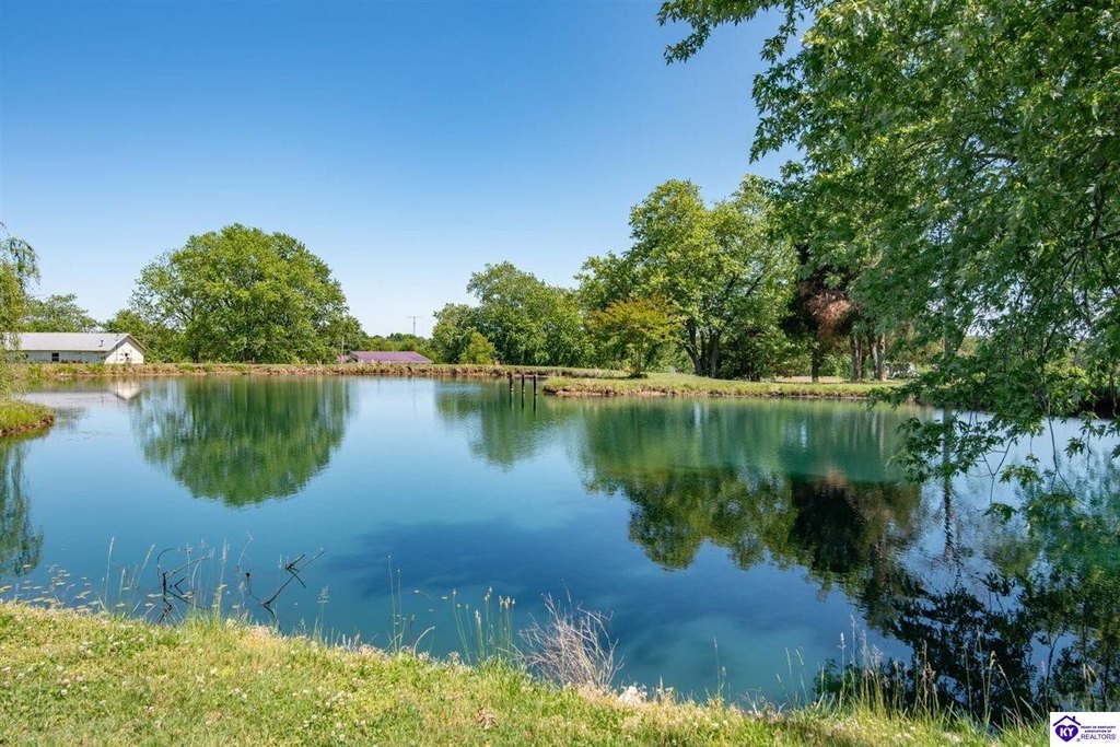 Picture 63