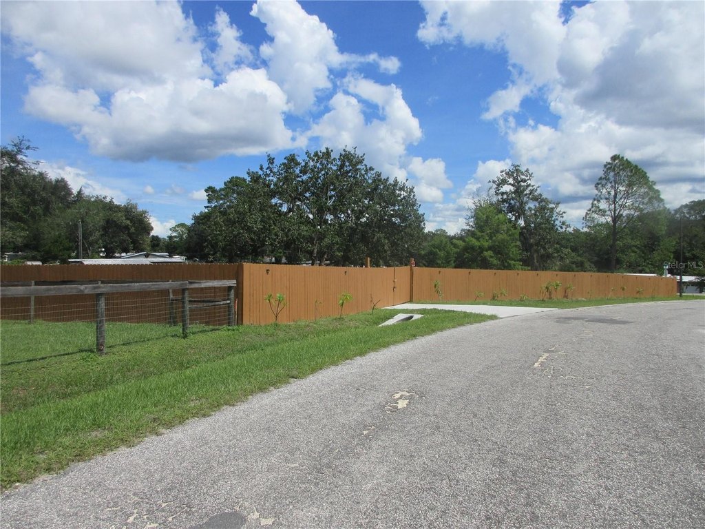 Picture 16