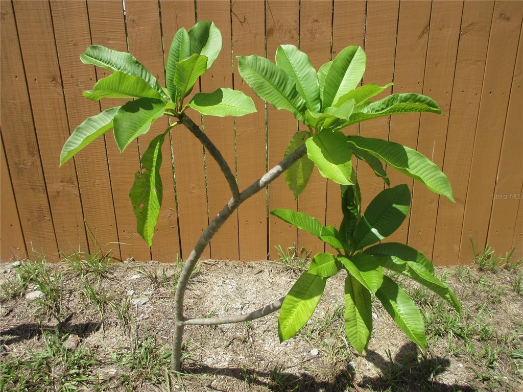 Picture 30