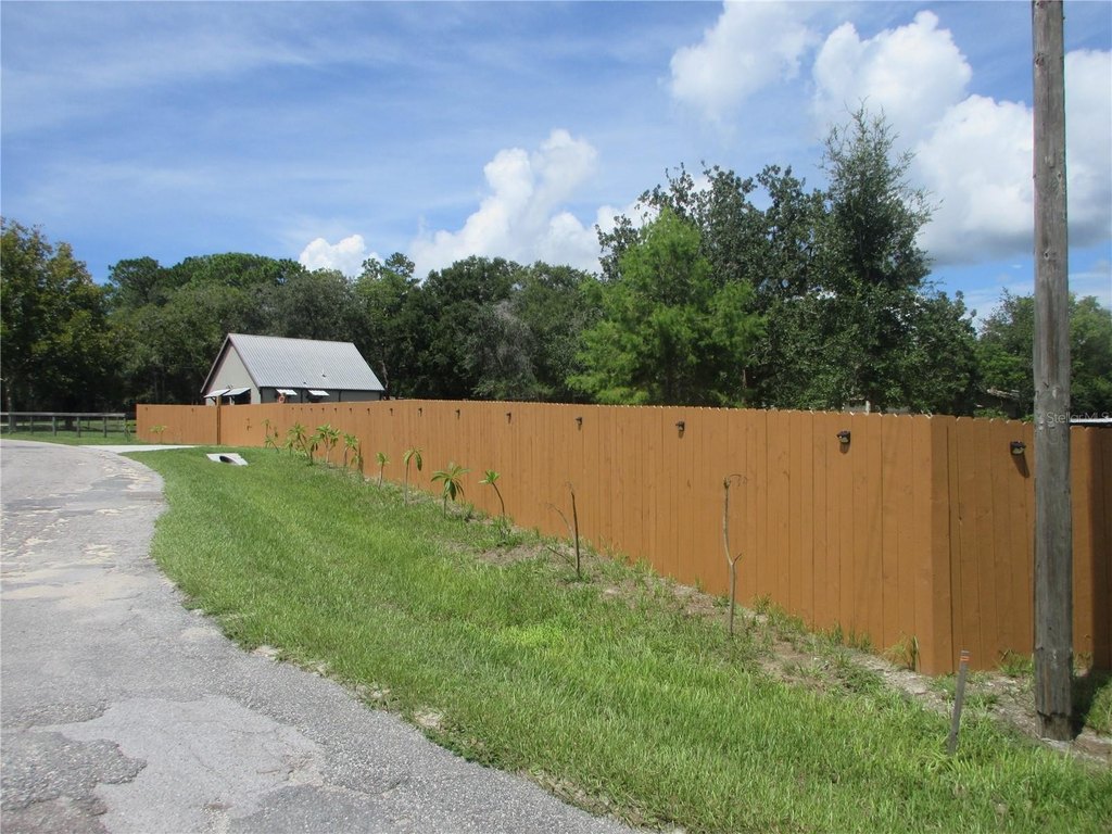 Picture 17