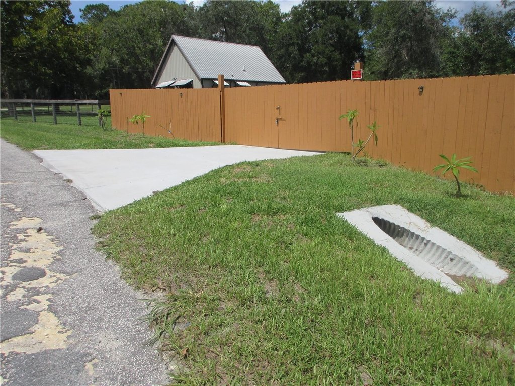 Picture 13