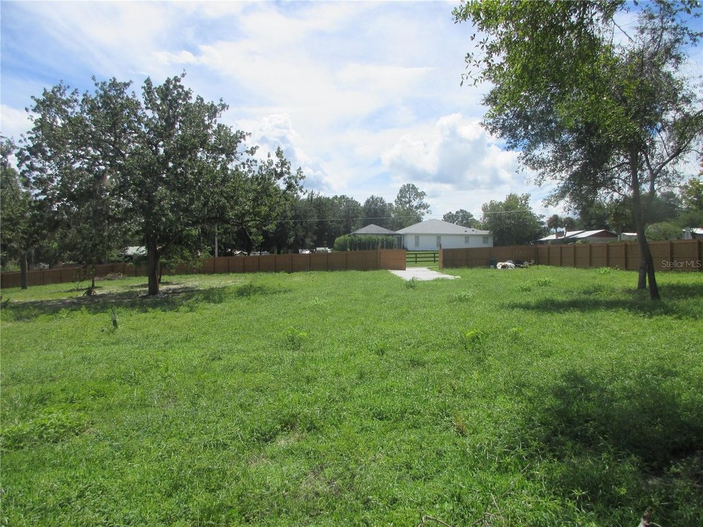 Picture 26