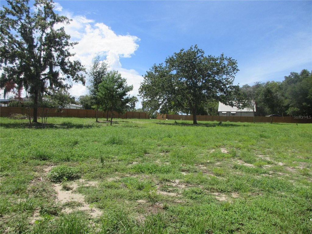 Picture 8