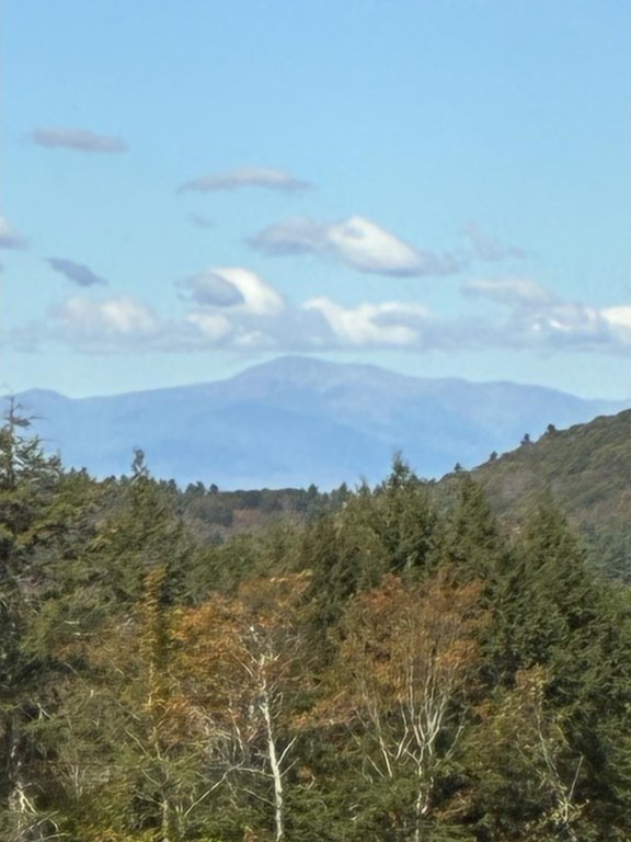Picture 31