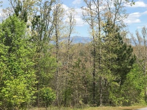 Mountain View Land in Murphy