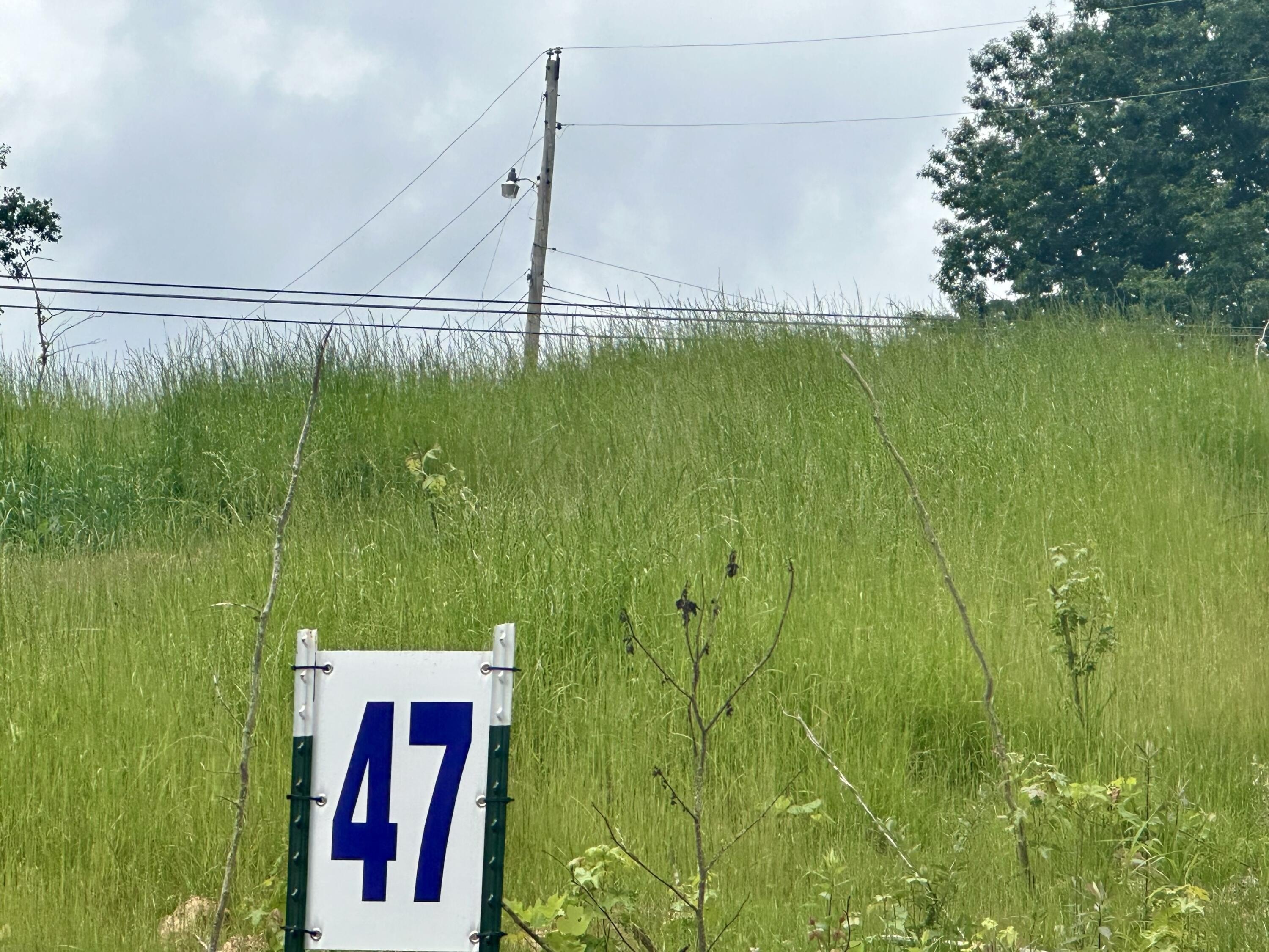 Residential Lots in Holly Grove Estates