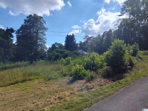 LAND - TRUSSVILLE, AL