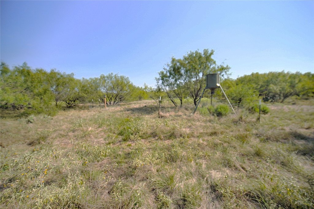 Picture 30
