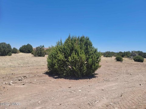 LAND - Show Low, AZ