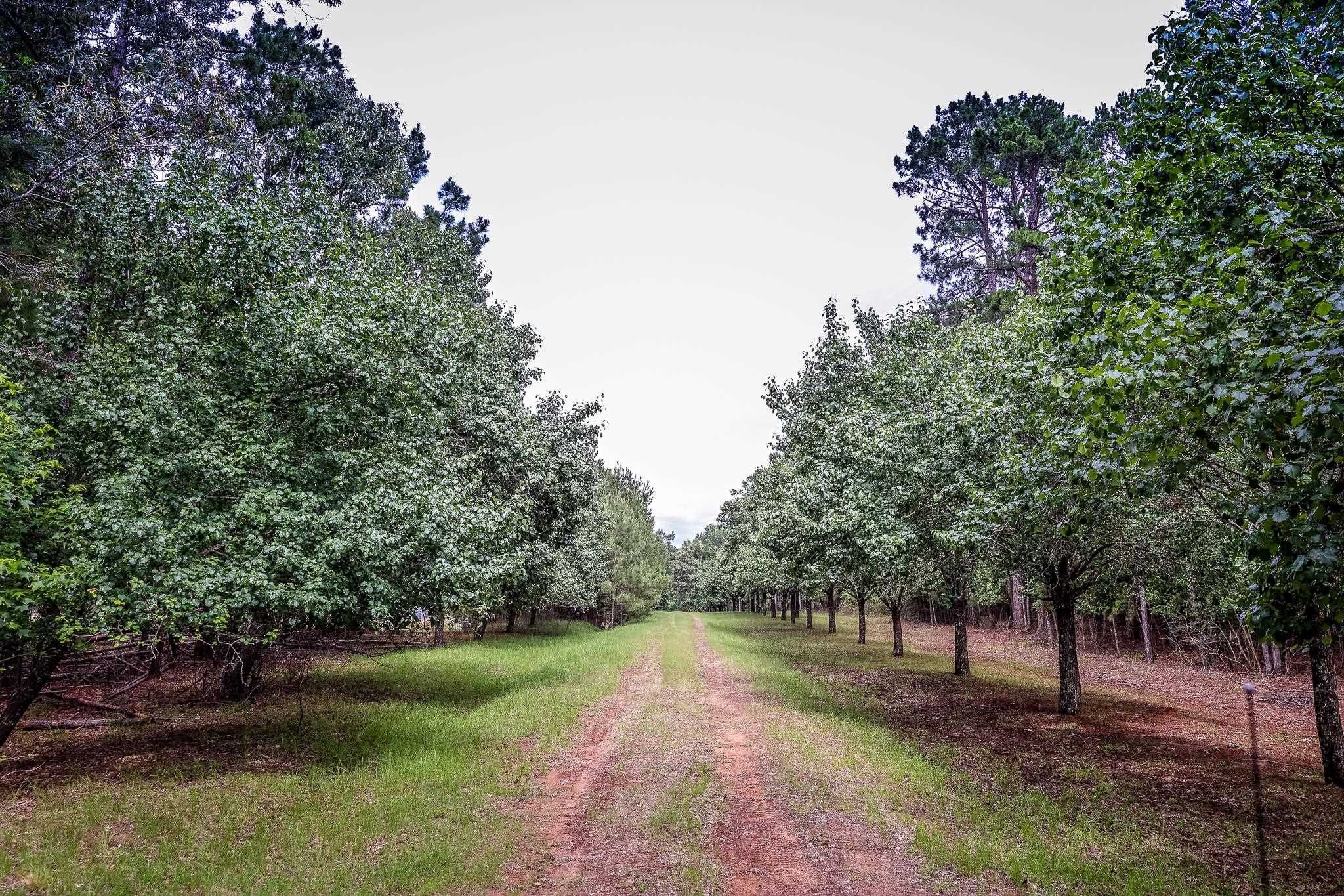 60-Acre High-Fenced Trophy Deer Ranch