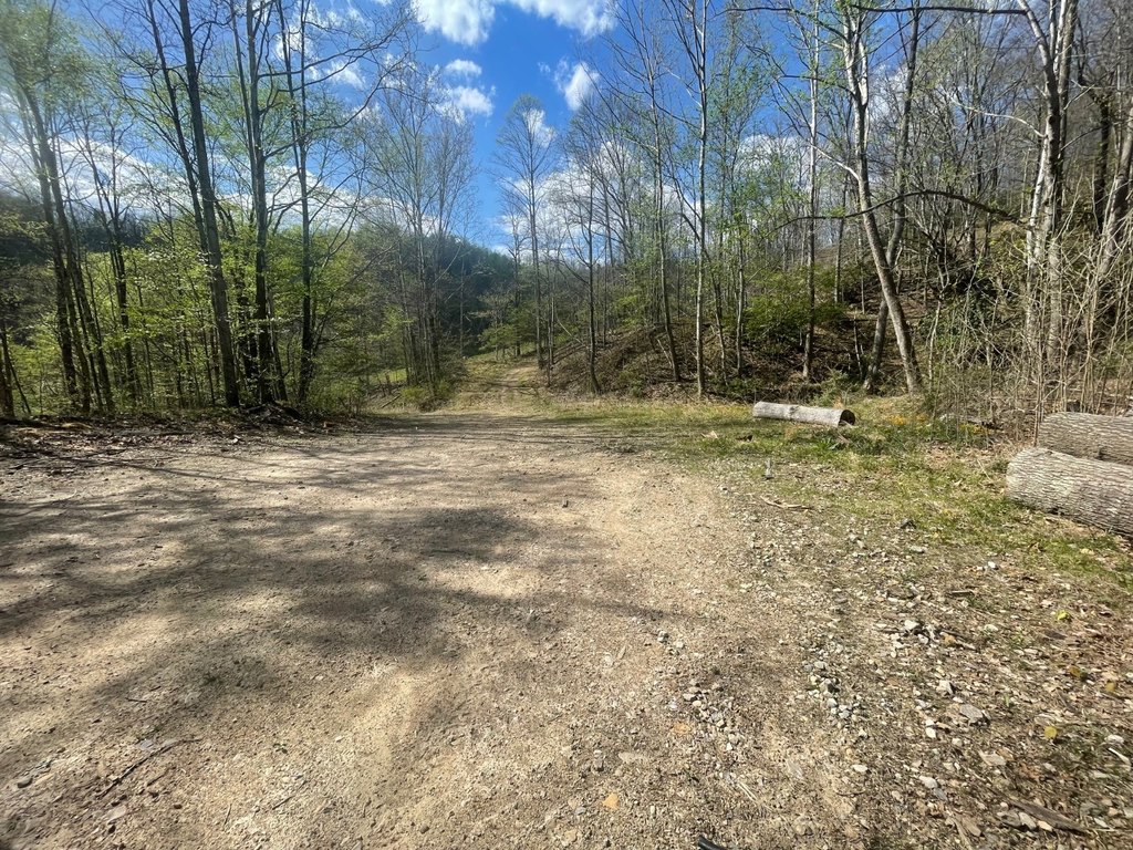 Picture 25