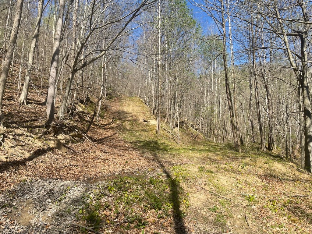 Picture 30