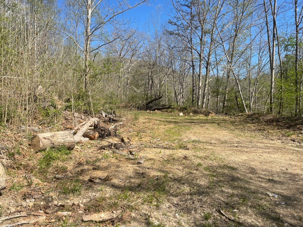 Picture 26