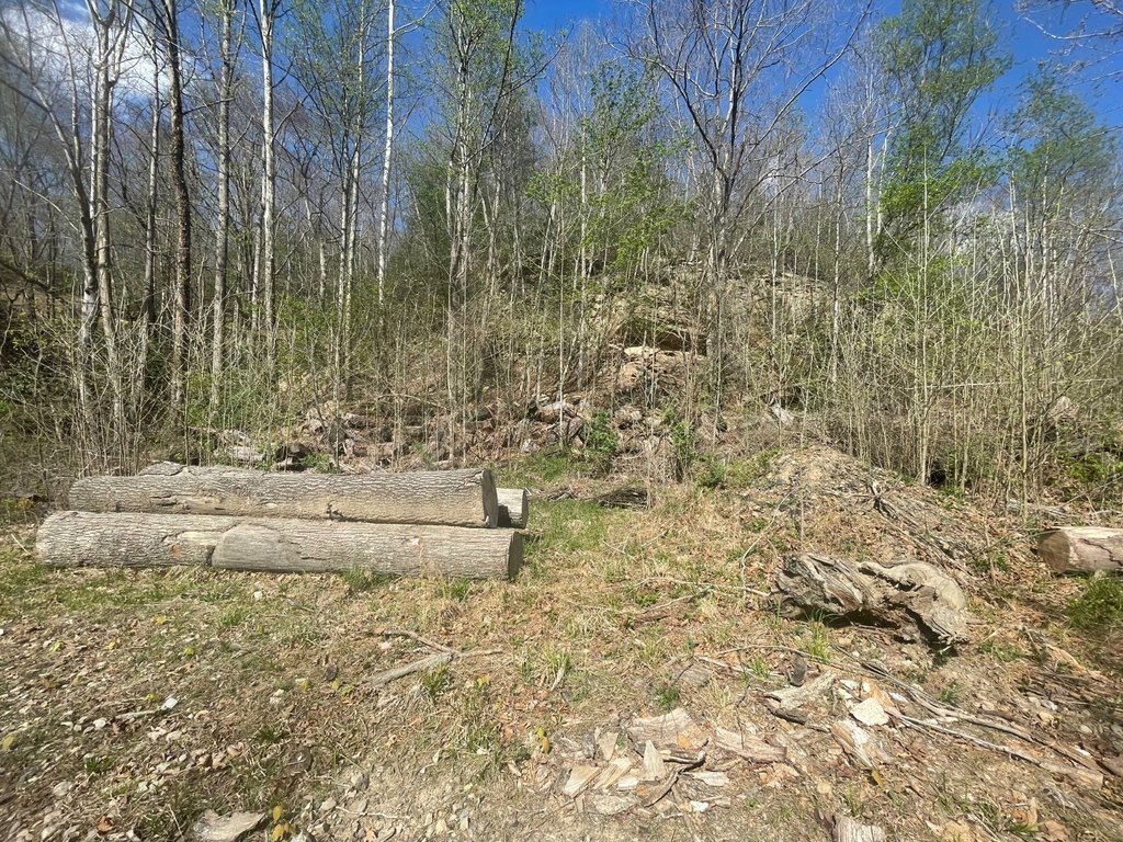 Picture 28