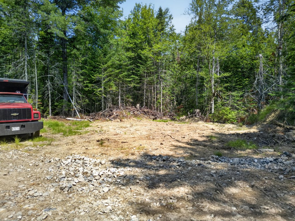 Picture 5