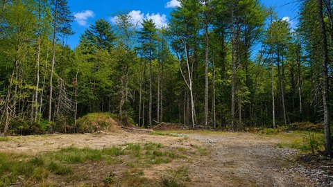 Residential & Agricultural Land Parcel