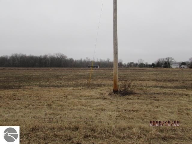 Picture 3
