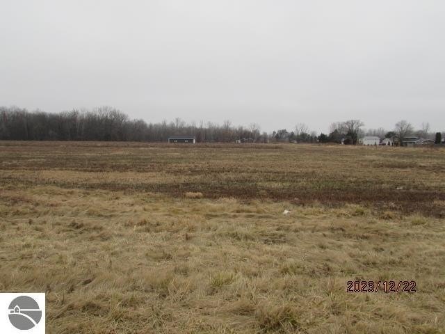 Picture 4