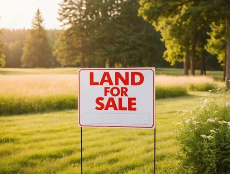 Land in Saw Creek Estates