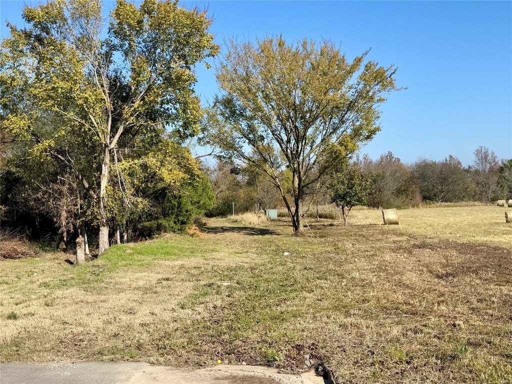 Picture 18