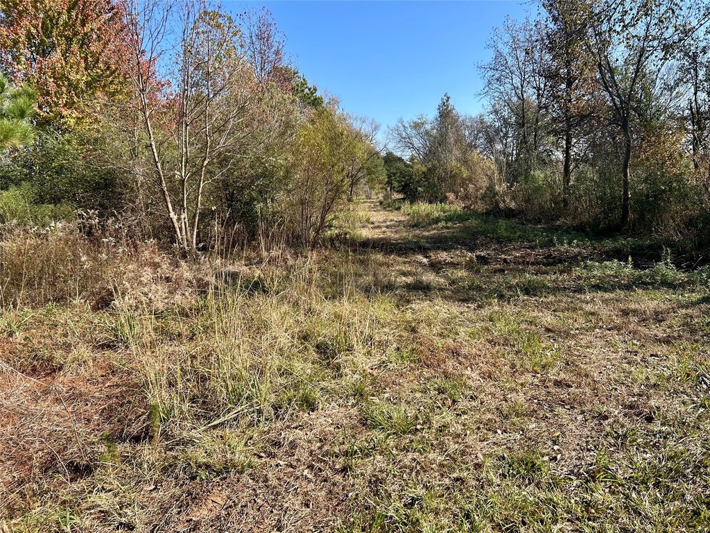 Picture 16