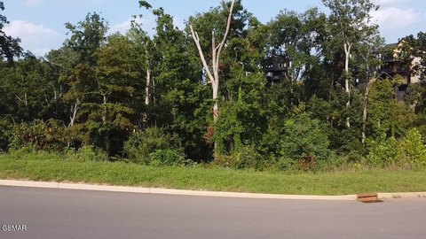 LAND - Sevierville, TN