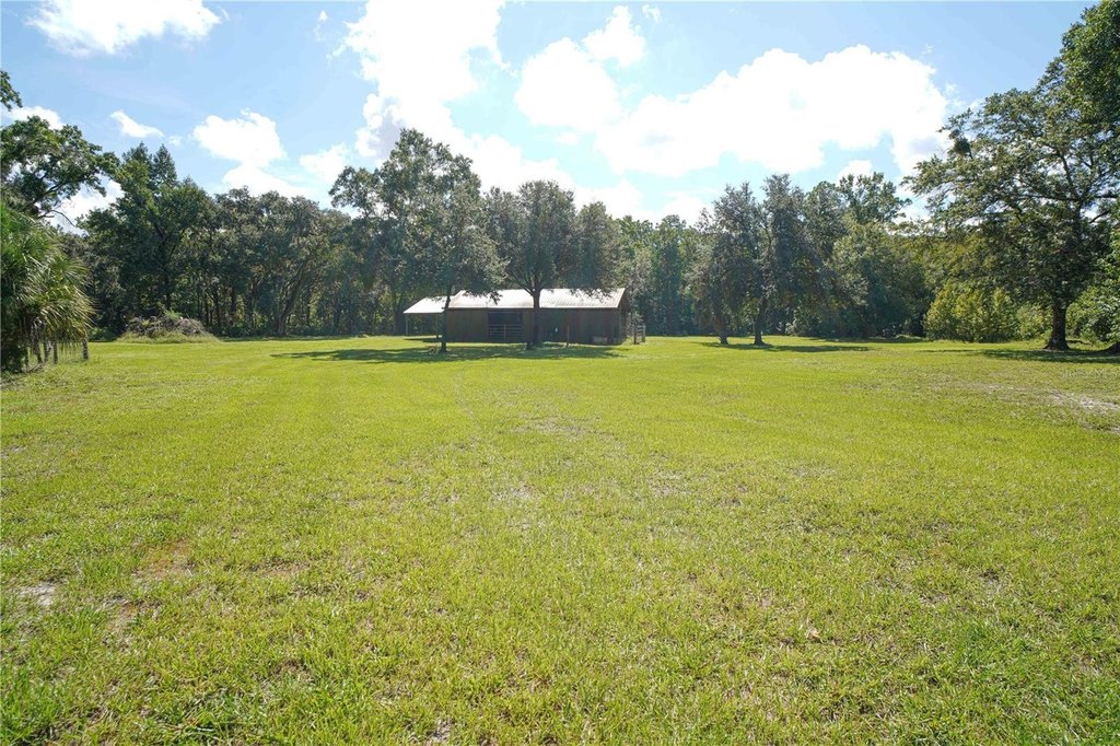 Picture 5