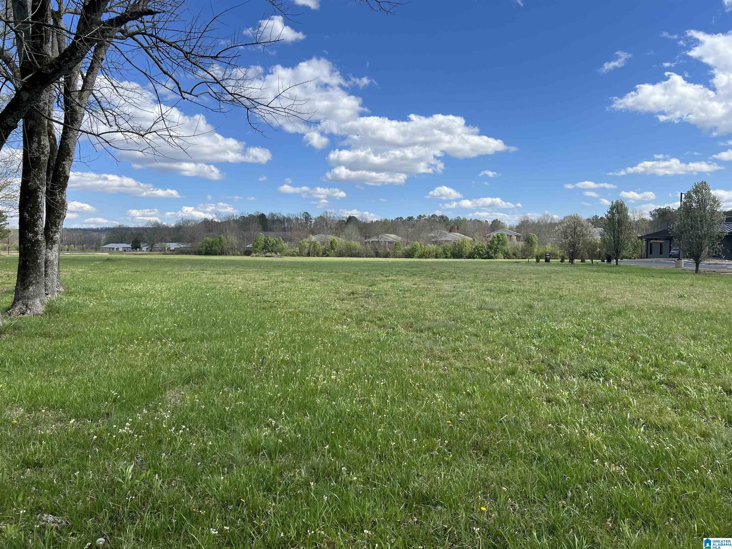 Commercial Land in Growing City