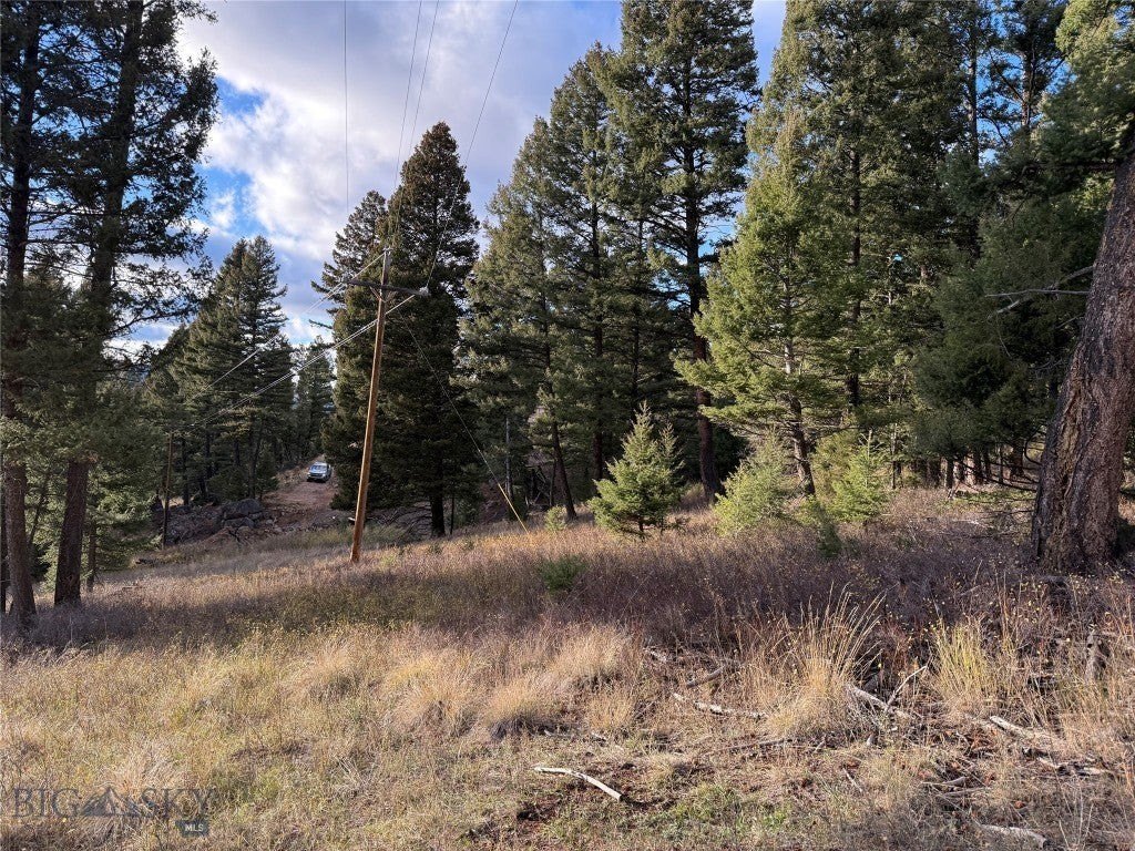 Picture 27