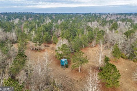 LAND - Adrian, GA