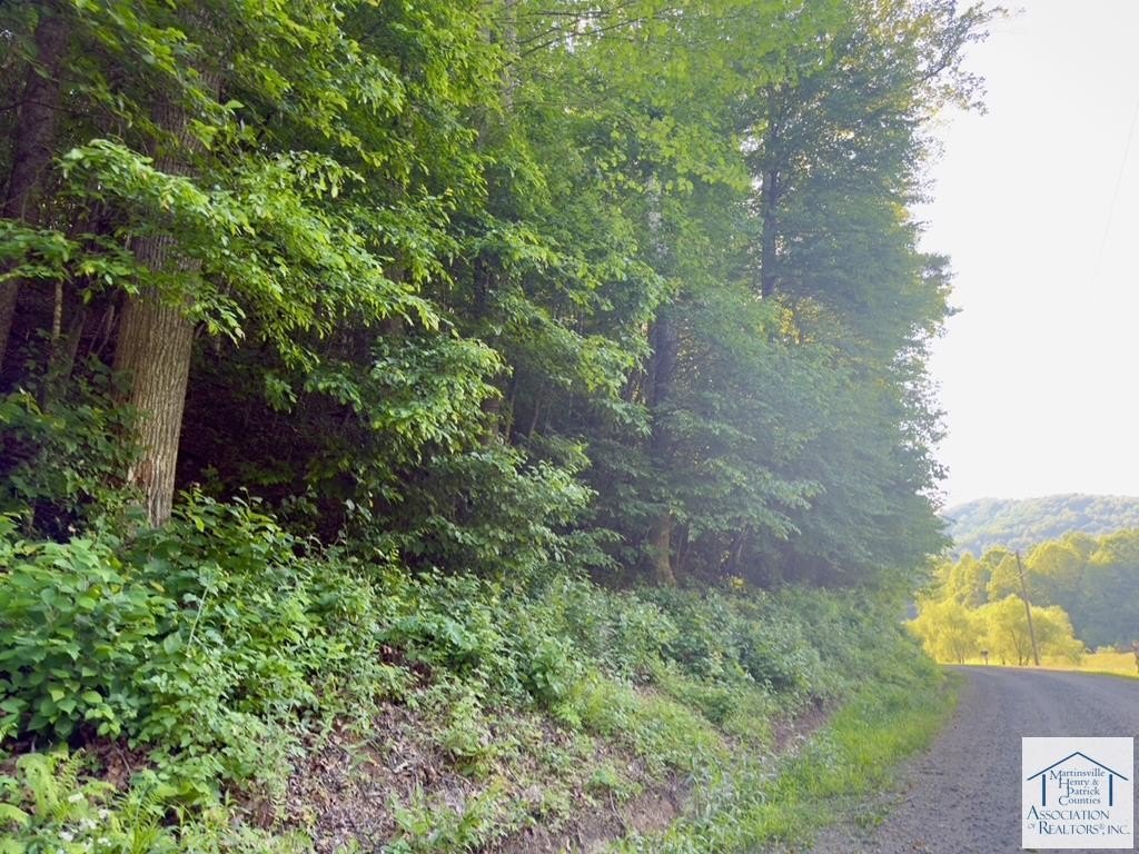 Secluded Wooded Land in Stuart