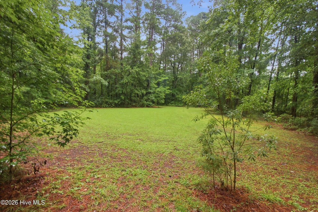 Picture 20