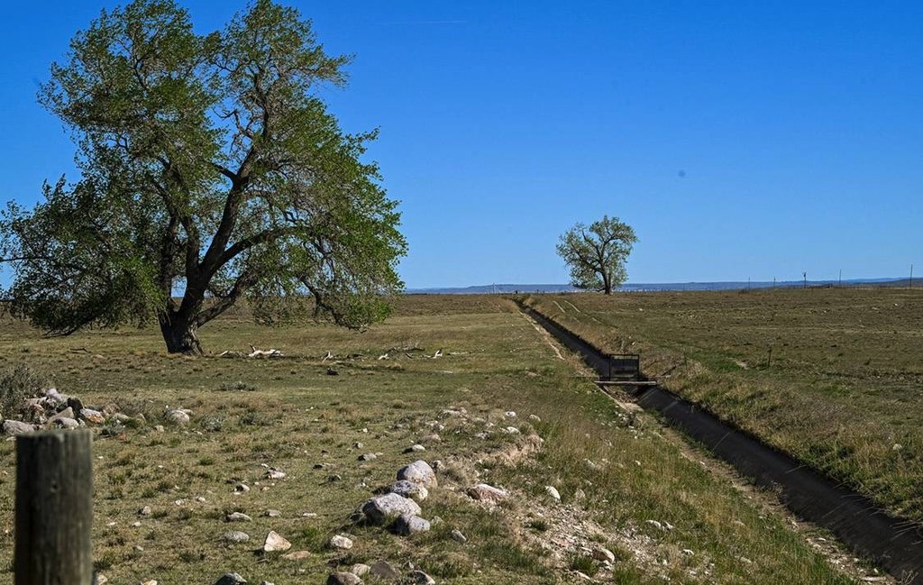 Picture 39