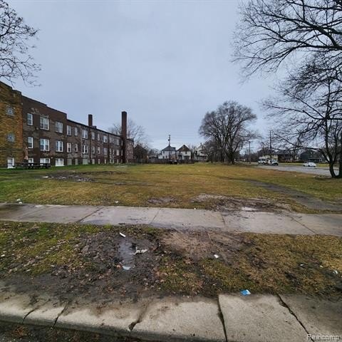 Picture 3
