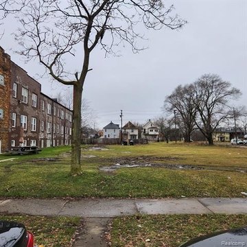 Detroit Land Zoned Residential