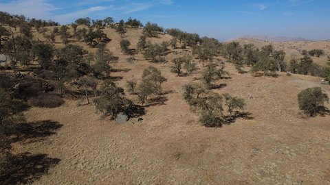 Land, Yokuts Valley, CA