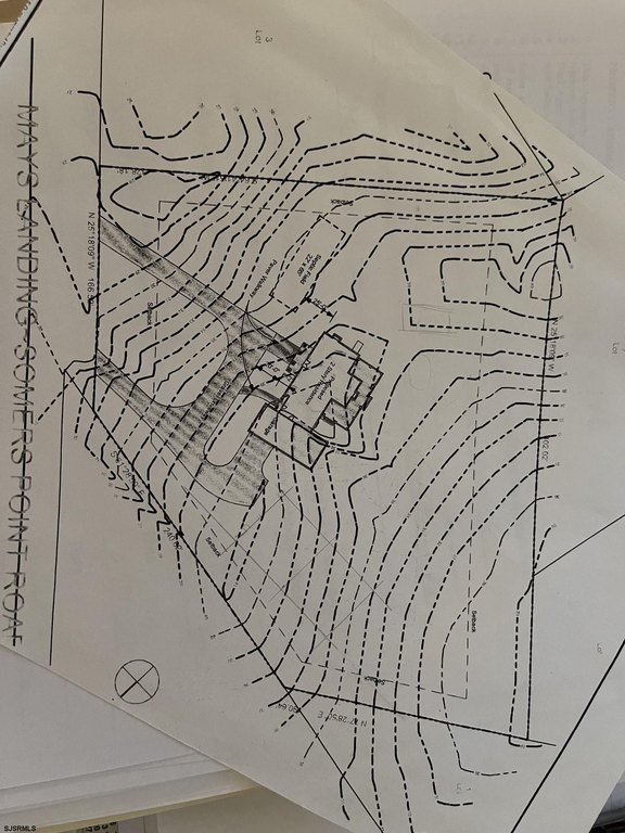 Picture 6