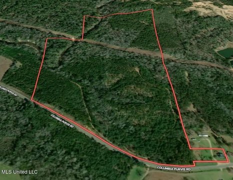79.23 Acres Recreational Land, Columbia