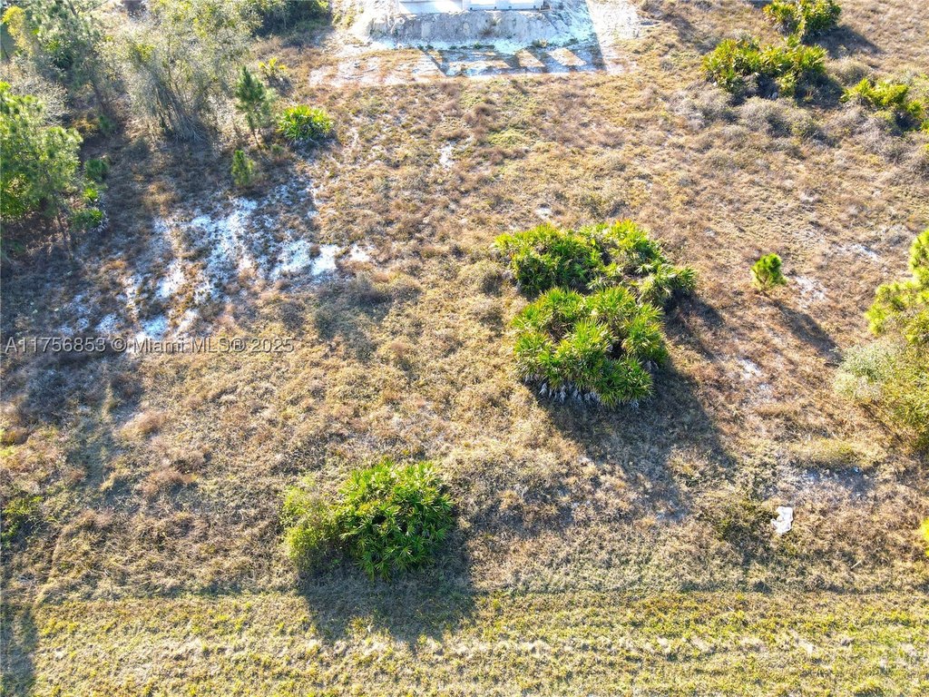 Picture 4