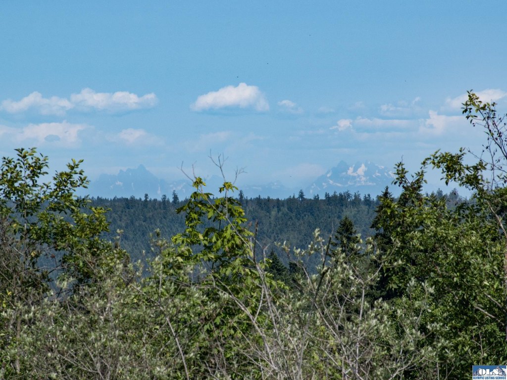 Picture 62