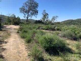 Picture 17