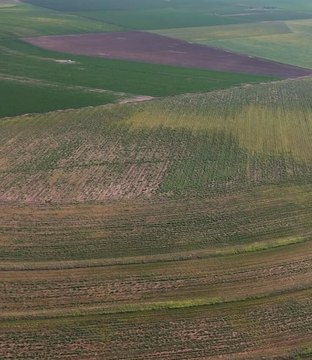 Land Northwest of Wilson, TX