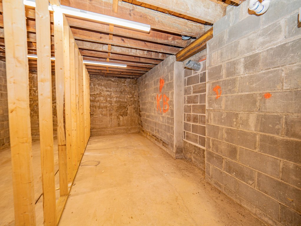 Picture 13