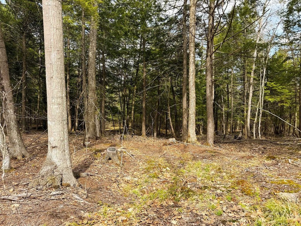 Picture 36