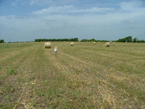 Pristine Land in Nevada, Texas