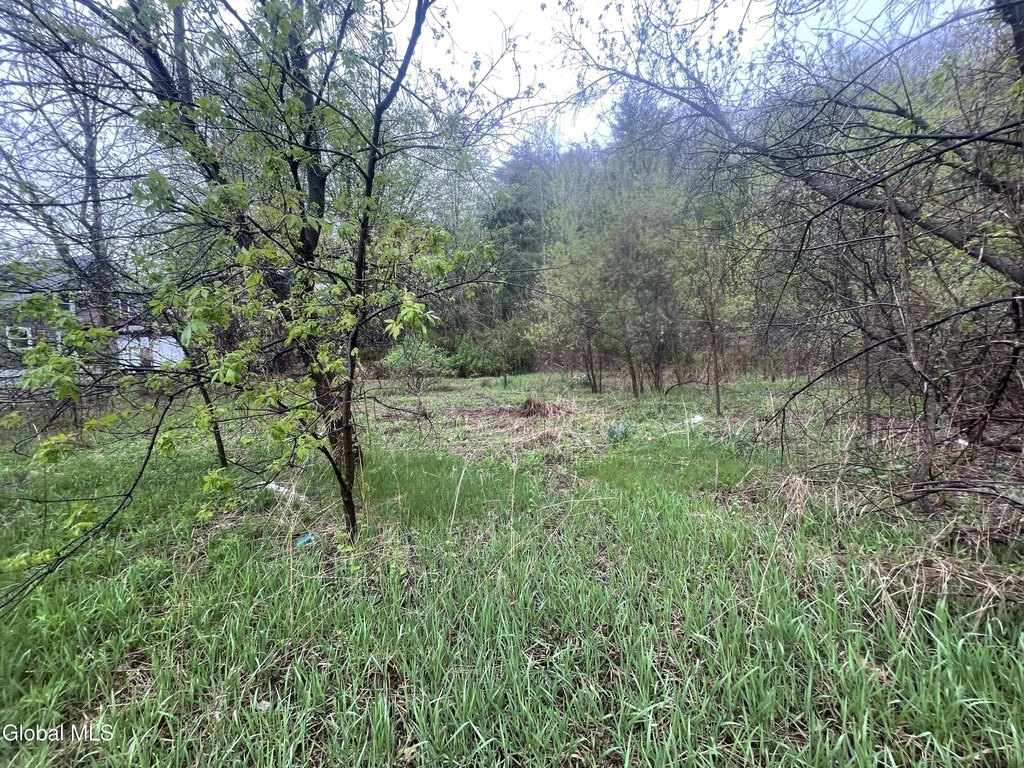 Picture 4