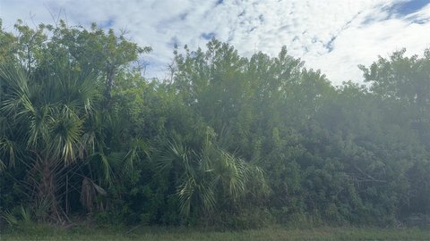 Land - PORT CHARLOTTE, FL
