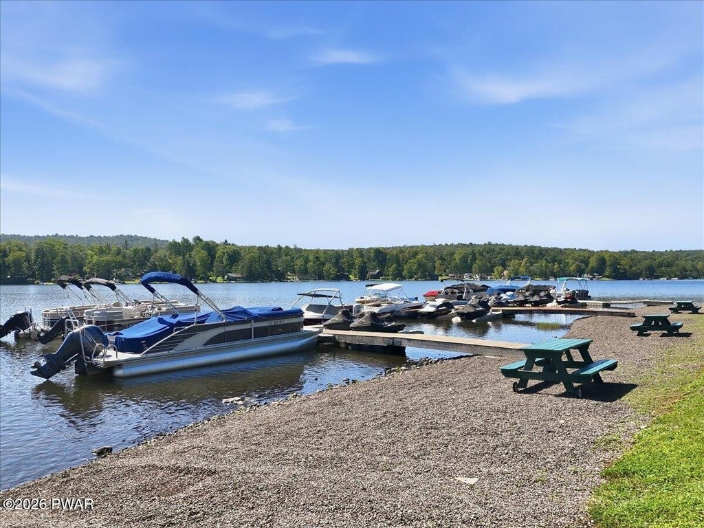 Picture 20