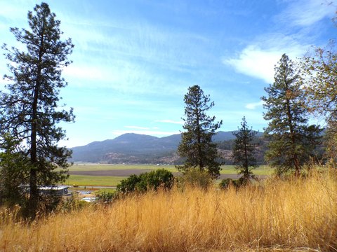 Residential and Multi-Use Land with Views